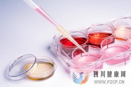 干細胞移植三大作用機制，治療肝硬化前景廣闊！(干細胞的治療作用)(圖1)