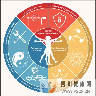 Cell重磅綜述健康的三大方面和八大特征(圖4)