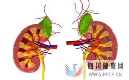 如何治療糖尿病腎?。?圖3)