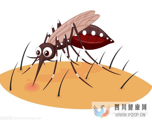 辟謠20個流傳最廣的謠言(圖4) 辟謠20個流傳最廣的謠言(圖4)