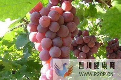 壹健康生活：糖尿病不能吃什么水果，吃什么食物調理好(圖2)