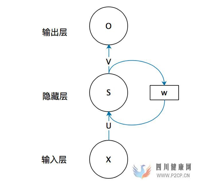 一文搞懂RNN(循環(huán)神經(jīng)網(wǎng)絡(luò))基礎(chǔ)篇(圖2)