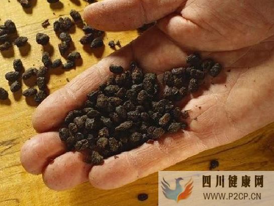 得了糖尿病，水果就要少吃？醫生：吃降糖藥還不如吃這種水果！你還不知道？(圖2)