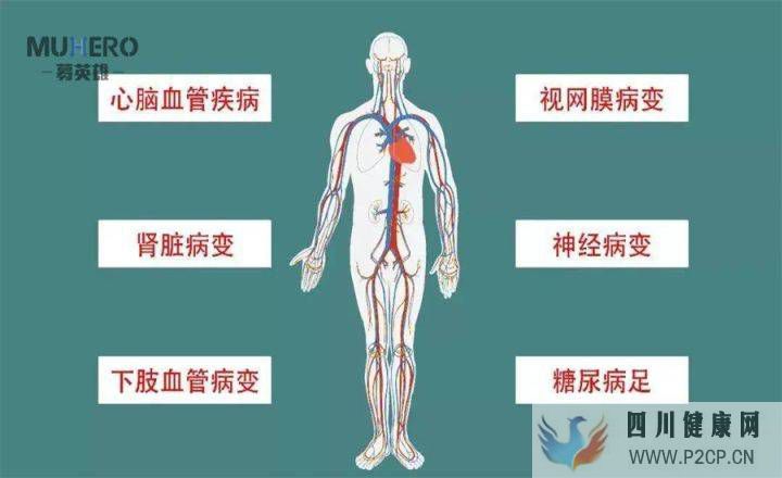 血糖高是糖尿病嗎(圖2)
