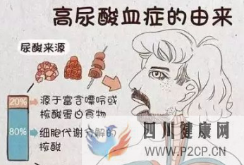 高尿酸的癥狀有哪些，治療尿酸高的方法(圖2)