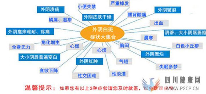 外陰白斑的癥狀與表現(xiàn)有哪些呢(圖1)