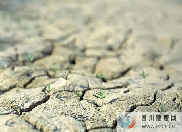 糖尿病患者的高血糖是如何出現的？酮癥酸中毒是怎么回事？(圖1)
