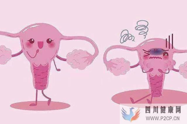 外陰白斑的臨床表現有什么(圖1) 外陰白斑的臨床表現有什么(圖1)