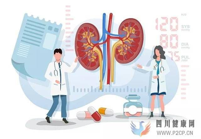 中科西部細(xì)胞：干細(xì)胞療法——腎臟疾病的潛在治療選擇(圖1)