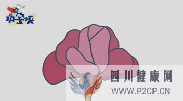 輸卵管不通怎么辦!(圖10)