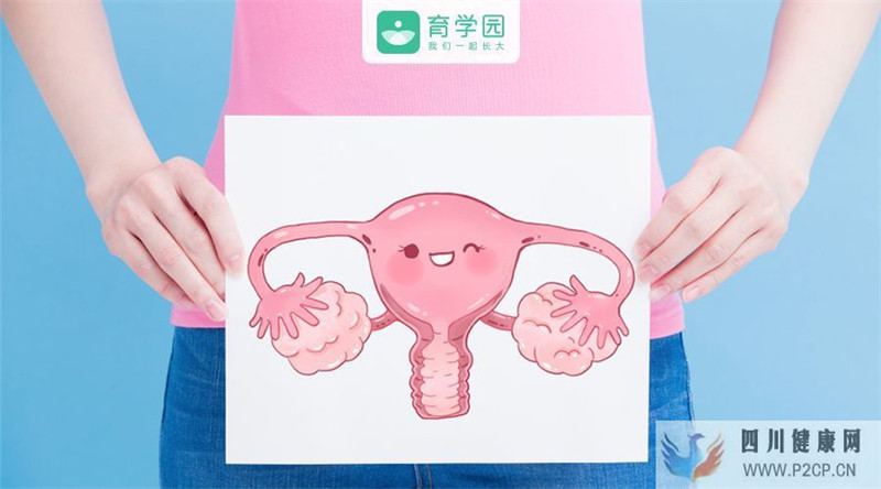 輸卵管不通該怎么辦(圖2)