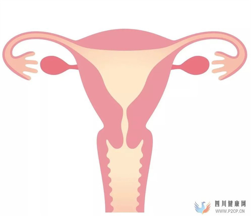 輸卵管不通該怎么辦(圖8)