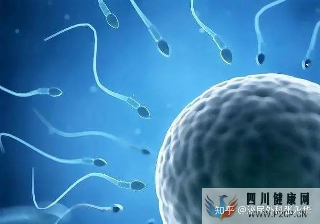 男性不育常見的七個誤區,你都知道嗎(圖2) 男性不育常見的七個誤區,你都知道嗎(圖2)