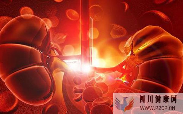 老人糖尿病沒控制好發生糖尿病腎病，降血糖如何選用護腎藥物？(圖1)