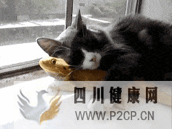 搞笑GIF趣圖：妹子，你絕對(duì)是忘了吃藥了(圖3)