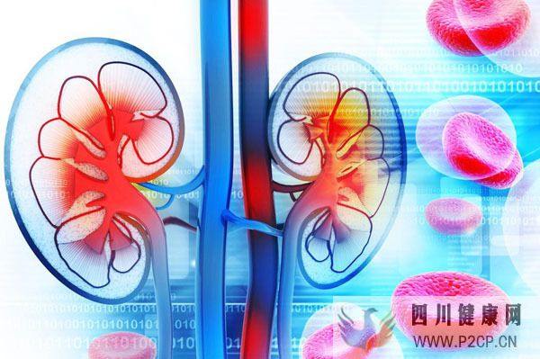 糖尿病腎病中醫能治療嗎?哪個階段出現癥狀?預防發病要注意5點(圖1) 糖尿病腎病中醫能治療嗎?哪個階段出現癥狀?預防發病要注意5點(圖1)