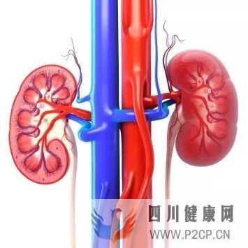 檢查系列②:什么檢查能用來發現糖尿病腎病?(圖1) 檢查系列②:什么檢查能用來發現糖尿病腎病?(圖1)