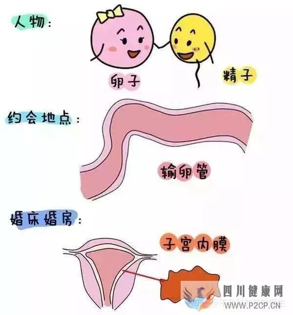 不孕癥有哪些常見癥狀(圖1)