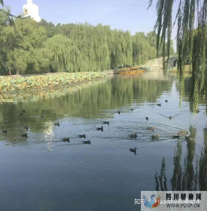 病友故事抗癌不易,愿所有人都能做自己的英雄(圖2) 病友故事抗癌不易,愿所有人都能做自己的英雄(圖2)