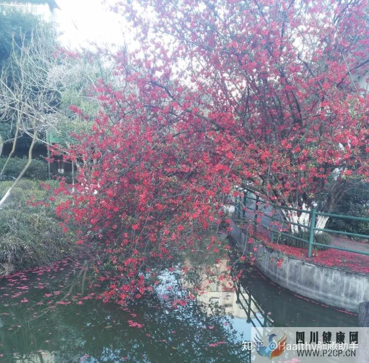 病友故事抗癌不易,愿所有人都能做自己的英雄(圖8) 病友故事抗癌不易,愿所有人都能做自己的英雄(圖8)