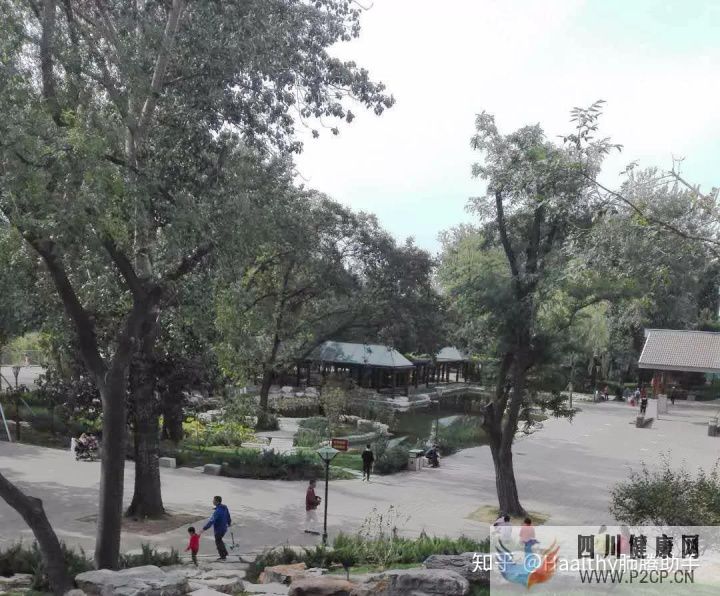 病友故事抗癌不易,愿所有人都能做自己的英雄(圖9) 病友故事抗癌不易,愿所有人都能做自己的英雄(圖9)