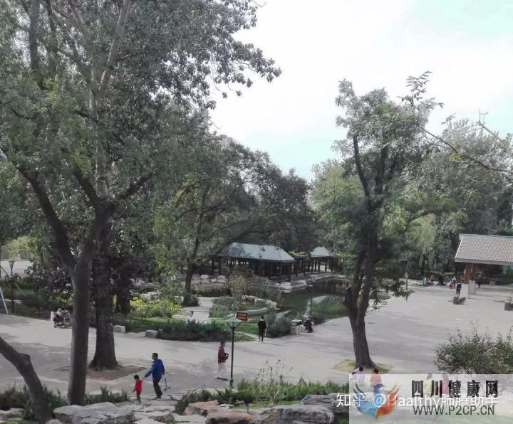 病友故事抗癌不易,愿所有人都能做自己的英雄(圖10) 病友故事抗癌不易,愿所有人都能做自己的英雄(圖10)