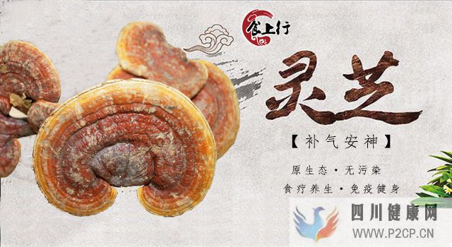 究竟什么叫養生,何以為養生(圖12) 究竟什么叫養生,何以為養生(圖12)