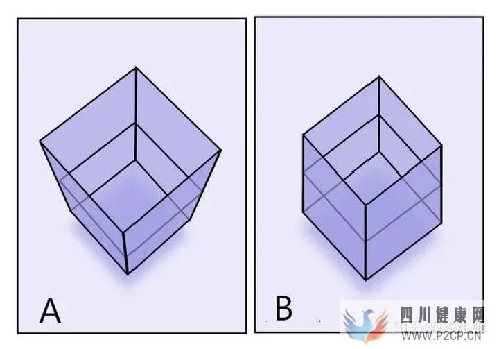 男生陰莖的五個小秘密(圖5)