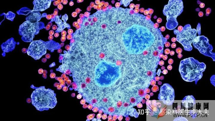 如果不幸感染“艾滋”,身體會有哪些癥狀(圖2)
