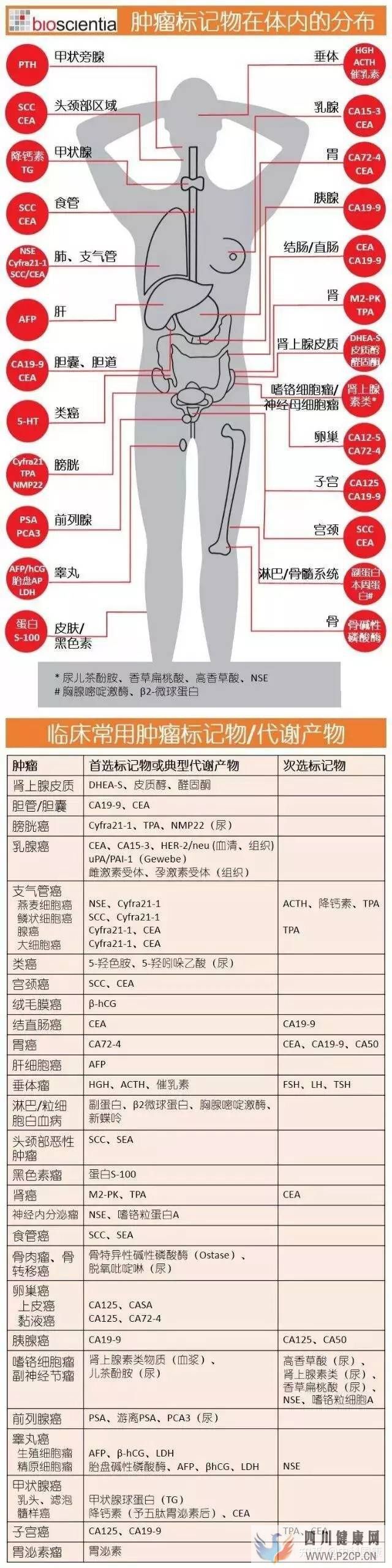 不是所有人都可以打干細胞!腫瘤標志物超標就絕對不...(圖1)