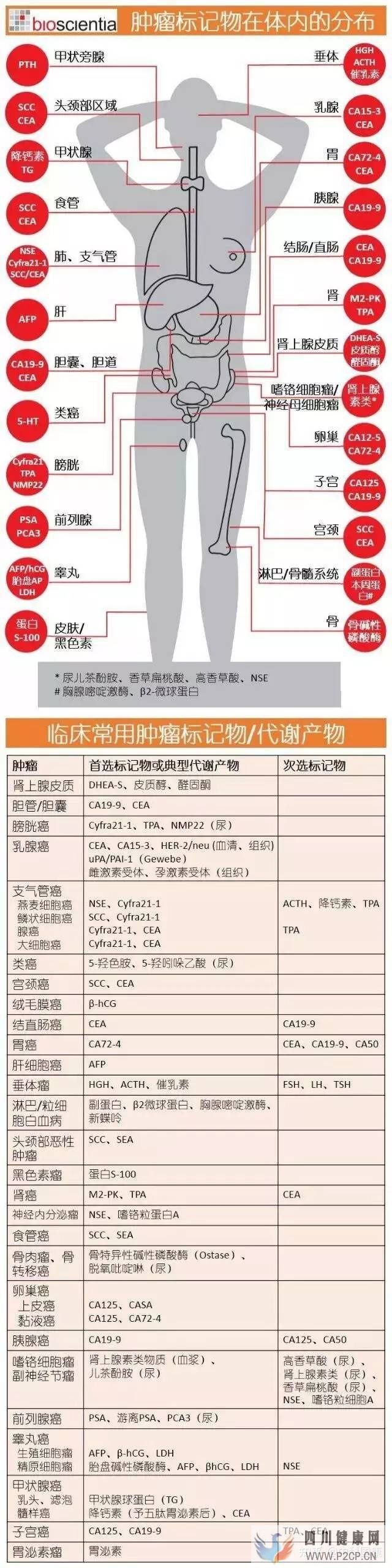 不是所有人都可以打干細胞!腫瘤標志物超標就絕對不...(圖2)
