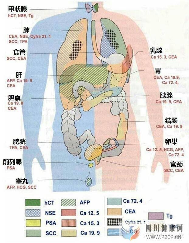 不是所有人都可以打干細胞!腫瘤標志物超標就絕對不...(圖3)
