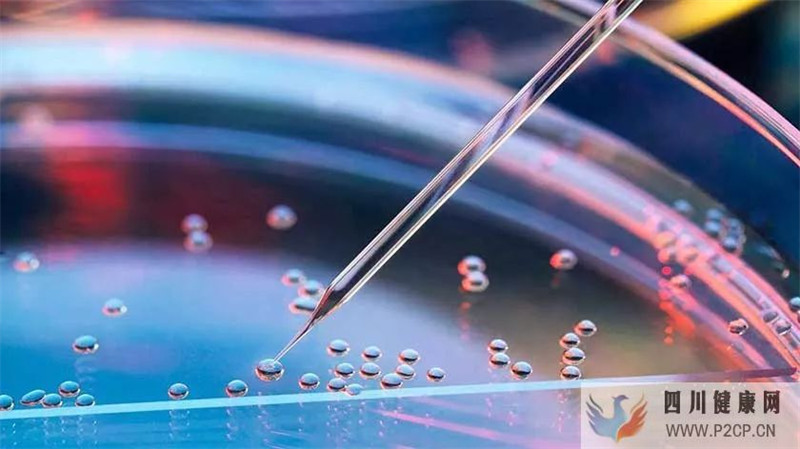 新突破：干細胞療法五種機制，打破傳統(tǒng)治療糖尿病腎病舊局面(圖2)