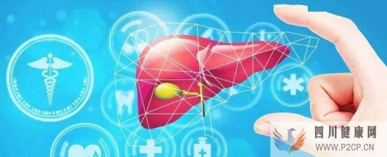 肝纖維化可逆轉？干細胞干預肝纖維化5大作用機制！(圖2)