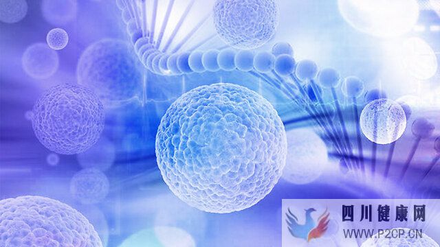 快訊：干細胞移植四大生物學特征，為治療肝硬化帶來新希望！(圖1)