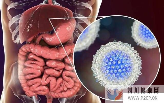 中科西部細胞：干細胞可以治療肝硬化嗎？(圖1)