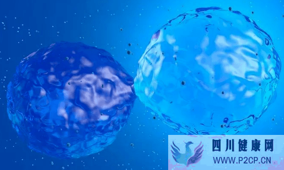 干細胞在9種皮膚病上的研究，具有治愈的潛力(圖1)
