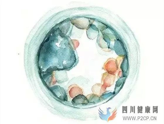 泰國試管嬰兒供卵的流程是怎么樣的?(圖1) 泰國試管嬰兒供卵的流程是怎么樣的?(圖1)