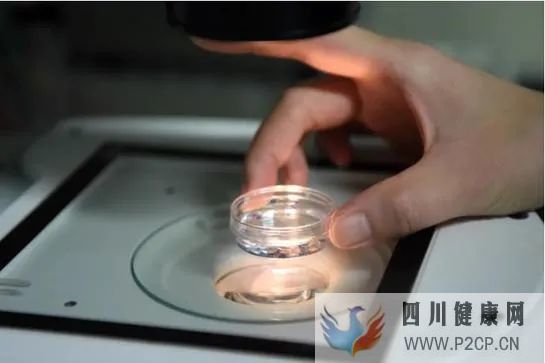 “試管嬰兒”費用納入醫保,能緩解生育率走低嗎(三代試管嬰兒總費用)(圖1)