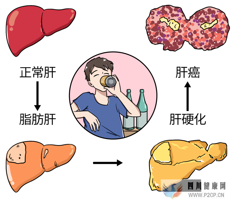 長期喝白酒能延年益壽，預防腫瘤？(圖1)