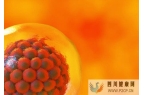 干細胞美容的效果是靠“吹”出來的嗎？